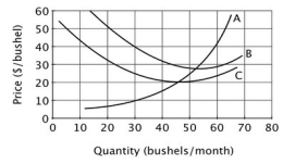 The accompanying graph shows the cost curves for Moe's mushroom gathering business, which is perfectly competitive.   Moe's short run supply curve is: A) curve C to the right of curve A. B) curve B to the right of curve A. C) curve A above curve B. D) curve A above curve C.