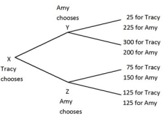 Tracy and Amy are playing a game in which Tracy has the first move at X in the decision tree shown below. Once Tracy has chosen either the top or bottom branch at X, Amy, who can see what Tracy has chosen, must choose the top or bottom branch at Y or Z. Both players know the payoffs at the end of each branch.   In the equilibrium this game, Tracy chooses the ________ branch, and then Amy chooses the ________ branch. A) top; top B) top; bottom C) bottom; top D) bottom; bottom
