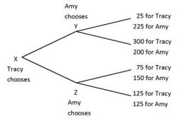 Tracy and Amy are playing a game in which Tracy has the first move at X in the decision tree shown below. Once Tracy has chosen either the top or bottom branch at X, Amy, who can see what Tracy has chosen, must choose the top or bottom branch at Y or Z. Both players know the payoffs at the end of each branch.   If before Tracy chose, Amy could make a credible commitment to choose either the top or bottom branch when her turn came, then Amy would commit to the ________ branch and Tracy would choose the ________ branch. A) top; top B) bottom; bottom C) top; bottom D) bottom; top