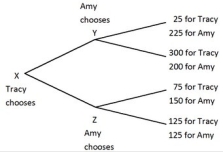 Tracy and Amy are playing a game in which Tracy has the first move at X in the decision tree shown below. Once Tracy has chosen either the top or bottom branch at X, Amy, who can see what Tracy has chosen, must choose the top or bottom branch at Y or Z. Both players know the payoffs at the end of each branch.   If before Tracy chose, Amy could make a credible commitment to choose either the top or bottom branch when her turn came, then we would expect Tracy to get a payoff of ________ and Amy to get a payoff of ________. A) 25; 225 B) 300; 200 C) 75; 150 D) 125; 125
