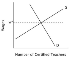 <strong>Suppose that this graph describes the current labor market for high school teachers: If the wage is w*, then:</strong> A)there will be a shortage of certified teachers. B)there will be a surplus of certified teachers. C)there will be neither a shortage nor a surplus of certified teachers. D)teachers will be underpaid.