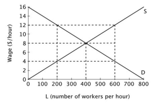 Consider the accompanying figure representing the labor market below.   If a minimum wage of $12 per hour is imposed in this labor market then worker surplus will ________ and employer surplus will ________. A) rise; fall B) fall; fall C) stay the same; fall D) rise; stay the same