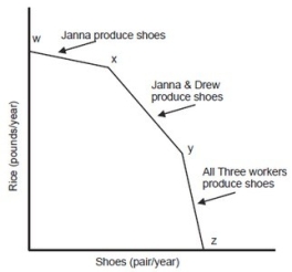 The following graph is the production possibility curve for a three-person economy, with workers Janna, Drew, and Karl.   The slope of the PPC between points X and Y is determined by ________ opportunity cost. A) Janna's B) Drew's C) Kari's D) Janna and Drew's