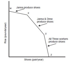 The following graph is the production possibility curve for a three-person economy, with workers Janna, Drew, and Karl.   The slope of the PPC between points Y and Z is determined by ________ opportunity cost. A) Janna's B) Drew's C) Kari's D) Janna and Drew's
