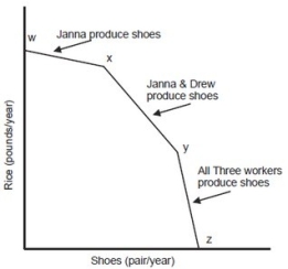 The following graph is the production possibility curve for a three-person economy, with workers Janna, Drew, and Karl.   Who has the highest opportunity cost of producing rice? A) Janna B) Drew C) Kari D) Janna and Drew
