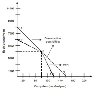 <strong>The following graph shows the production possibilities curve for the economy with only two members, Silvia and Art. Silvia can produce either 50 pounds of beef or 2 computers per week, and Art can produce 100 pounds of beef or 1 computer per week. Both of them work 40 weeks per year. Art's opportunity cost of producing one computer is ________ pounds of beef.</strong> A)1/50 B)1/100 C)50 D)100