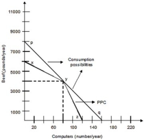 <strong>The following graph shows the production possibilities curve for the economy with only two members, Silvia and Art. Silvia can produce either 50 pounds of beef or 2 computers per week, and Art can produce 100 pounds of beef or 1 computer per week. Both of them work 40 weeks per year. Silvia's opportunity cost of producing one pound of beef is ________ computer(s).</strong> A)1/50 B)1/25 C)25 D)50