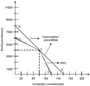 <strong>The following graph shows the production possibilities curve for the economy with only two members, Silvia and Art. Silvia can produce either 50 pounds of beef or 2 computers per week, and Art can produce 100 pounds of beef or 1 computer per week. Both of them work 40 weeks per year. Silvia has a comparative advantage in producing ________, and Art has a comparative advantage in producing ________.</strong> A)beef; beef B)beef; computers C)computers; beef D)computers; computers