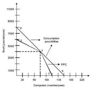 <strong>The following graph shows the production possibilities curve for the economy with only two members, Silvia and Art. Silvia can produce either 50 pounds of beef or 2 computers per week, and Art can produce 100 pounds of beef or 1 computer per week. Both of them work 40 weeks per year. How much of each good is produced if each worker fully specializes according to comparative advantage?</strong> A)8,000 pounds of beef and 120 computers B)6,000 pounds of beef and 160 computers C)4,000 pounds of beef and 80 computers D)6,000 pounds of beef and 120 computers