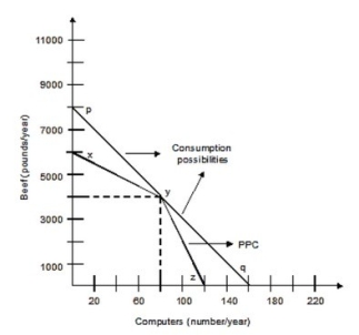 <strong>The following graph shows the production possibilities curve for the economy with only two members, Silvia and Art. Silvia can produce either 50 pounds of beef or 2 computers per week, and Art can produce 100 pounds of beef or 1 computer per week. Both of them work 40 weeks per year. With the opportunity to trade, Silvia can trade all the computers she can produce per year if she specializes in producing computers, for ________ pounds of beef.</strong> A)2,000 B)3,000 C)4,000 D)6,000