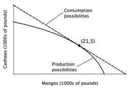 <strong>The accompanying figure shows the annual production possibilities curve for a small country that is open to trade with the rest of the world. Suppose the world price of cashews is $12 per pound, and the world price of mangos is $4 per pound. As indicated in the figure, at these prices, this country will produce 21,000 pounds of mangos and 5,000 pounds of cashews each year. Suppose that the residents of this country are allergic to cashews and only want to consume mangos. Given that this country is open to trade with the rest of the world, how many mangos in total can its residents consume each year?</strong> A)44,000 pounds B)36,000 pounds C)30,000 pounds D)39,000 pounds