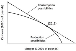 <strong>The accompanying figure shows the annual production possibilities curve for a small country that is open to trade with the rest of the world. Suppose the world price of cashews is $12 per pound, and the world price of mangos is $4 per pound. As indicated in the figure, at these prices, this country will produce 21,000 pounds of mangos and 5,000 pounds of cashews each year. At this country's current level of production, what is the opportunity cost of a pound of mangos in terms of cashews?</strong> A)1/3 pounds of cashews B)3 pounds of cashews C)5/21 pounds of cashews D)21/5 pounds of cashews