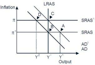 Refer to the accompanying figure.   Starting from long-run equilibrium at point C, a decrease in government spending that decreases aggregate demand from AD¹ to AD will lead to a short-run equilibrium at ________ creating ________ gap. A) D; an expansionary B) D; a recessionary C) B; no output D) B; recessionary