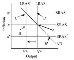 In the given figure, the economy is initially in long-run equilibrium at point A. If there is an adverse supply shock that reduces potential output and shifts the long-run aggregate supply curve from LRAS to LRAS', then there is initially ________ gap and the short-run aggregate supply curve will ________.   A) an expansionary; eventually shift to SRAS' B) an expansionary; eventually shift to SRAS  C) a recessionary; eventually shift to SRAS  D) a recessionary; eventually shift to SRAS'