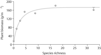   Figure 54.3 -Upon looking at Figure 54.3 regarding Tilman's experiments, what can you conclude about the data? A) As species richness increases, plant biomass increases. B) As species richness changes, plant biomass remains consistent. C) As species richness decreases, plant biomass increases. D) As species richness increases, plant biomass increases and then levels off.