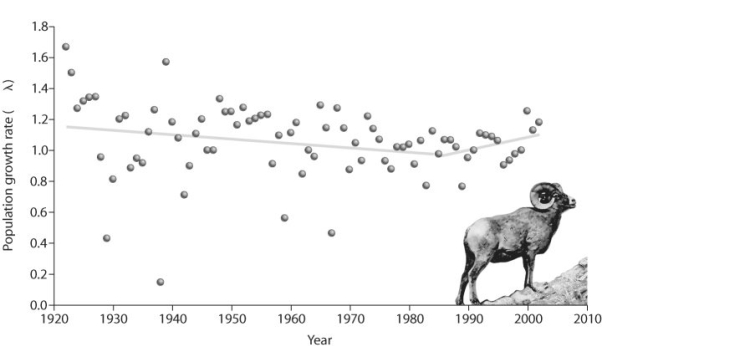   Figure 54.5 -According to the figure above, what is occurring after 1985? A)  The sheep are climbing a hill. B)  The population is increasing. C)  The population growth rate is increasing. D)  The population is increasing exponentially.