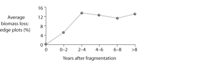   Figure 54.6 -In looking at the figure above, what can be said about edge effects? A)  Biomass increases along the edges of forest fragments. B)  Fragmentation does not affect biomass. C)  Biomass declines sharply along edges of forest fragments. D)  Species diversity decreases along the edges of forest fragments.