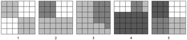 Refer to the grids below to answer the following question.   According to the Shannon Diversity Index, which of the five grids provided, with each one containing 36 square show the greatest diversity? A)  1 B)  2 C)  3 D)  4 E)  5