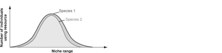   Figure 52.3 -In the figure above, which species is the stronger competitor? A) species 1 B) species 2 C) Both species compete equally. D) It is not possible to tell from this figure.
