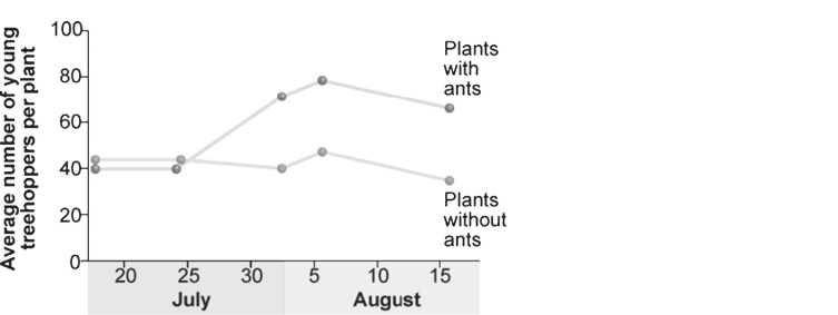   Figure 52.6 -Treehoppers a type of insect)  produce honeydew, which ants use for food. Treehoppers have a major predator, the jumping spider. Researchers hypothesized that the ants would protect the treehoppers from the spiders. In an experiment, researchers followed study plots with ants removed from the system and compared them to a control plot. In the figure above, what can you conclude? A)  Ants do somehow protect the treehoppers from spiders. B)  Ants reduce the numbers of treehoppers. C)  No specific conclusions can be drawn from this figure. D)  Ants do not protect the treehoppers from spiders.