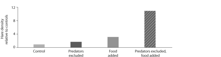   Figure 51.13 -Looking at the data in the figure above from the hare/lynx experiment, what conclusion can you draw? A)  Hares control lynx population size. B)  Lynx and hare populations are independent of each other. C)  Lynx control hare population size. D)  Hare populations are limited by both predation and food availability.