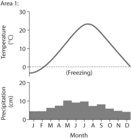 <sup> </sup>    <sup> </sup> <sup> </sup> <sup> </sup>    Figure 49.3 -Based on the data in Figure 49.3, which of the following statements is true? A)  Area 2 could be called a boreal forest. B)  Area 1 could be called a tropical wet forest. C)  Area 1 could be called a subtropical desert. D)  Area 2 could be called tundra.