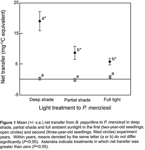   Figure 29.3 -Referring to Figure 29.3 Simard et al., 1997- third- year seedlings only), shown above, was there a net transfer of carbon from plants in sunlight to plants in shade? A) yes B) no