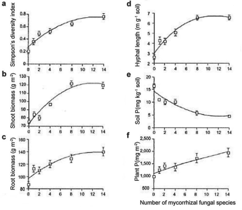 Use the following information when answering the corresponding questions). The researchers then wanted to know if plant biodiversity and productivity would increase in a natural system as a result of i AMF diversity beyond just four species. Consider Figure 29.6 below Figure 2 from van der Heijden et al. 1998):    Figure 29.6 -If the number of mycorrhizal fungal species increases to 20, the amount of P in the soil will likely decline to zero Figure 29.6). True or false?