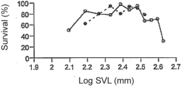 Use the following information when answering the corresponding questions) . Martin Wikelski and L. Michael Romero Body size, performance and fitness in Galápagos marine iguanas, Integrative and Comparative Biology 43 [2003]:376- 86)  measured the snout- to- vent anus)  length of Galápagos marine iguanas and observed the percent survival of different- sized animals. Figure 23.2 shows the log snout- vent length SVL, a measure of overall body size)  plotted against the percent survival of these different size classes for males and females.    Figure 23.2 -Examine the figure above. What type of selection for body size appears to be occurring in these marine iguanas? A)  stabilizing selection B)  directional selection C)  sexual selection D)  disruptive selection