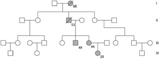 The figure provided shows the pedigree for a family. Dark- shaded symbols represent individuals with one of the two major types of colon cancer. Numbers under the symbols are the individual's age at the time of diagnosis. Males are represented by squares, females by circles.   From this pedigree, this trait seems to be inherited A)  from mothers. B)  as an autosomal dominant. C)  as an autosomal recessive. D)  as a result of epistasis. E)  as an incomplete dominant.