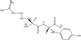<strong>Kyotorphin (tyrosylarginine)is a neuroactive dipeptide that plays a role in pain regulation in the brain.Which of the following shows its structure at a physiological pH of 7.4?</strong> A)   B)   C)   D)   E)   <div style=padding-top: 35px> 