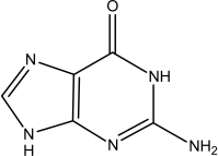This molecule is ________   A) adenine. B) guanine. C) cytosine. D) thymine. E) uracil.