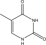 This molecule is ________   A) adenine. B) guanine. C) cytosine. D) thymine. E) uracil.