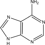 This molecule is ________   A) adenine. B) guanine. C) cytosine. D) thymine. E) uracil.
