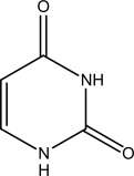 This molecule is ________   A) adenine. B) guanine. C) cytosine. D) thymine. E) uracil.