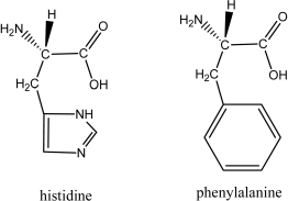 What effect,if any,can the substitution of one amino acid for another in a protein have on the protein's function? For example,what if histidine were substituted for phenylalanine at a physiological pH of 7.4? What major difference do you see in their R groups?  