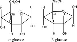  Draw a disaccharide that is representative of the structure of starch.The structures of  \alpha - and  \beta -glucose are given.   