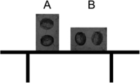 Two identical cement blocks are placed on a glass table in different positions,as shown in the diagram.Which statement about these blocks is correct?   A) A exerts more pressure on the table. B) B exerts more pressure on the table. C) Both blocks exert the same pressure on the table. D) A exerts more force on the table. E) B exerts more force on the table.