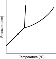 At the point marked with a dot on the phase diagram,the solid will __________     A) be indistinguishable from the gas. B) boil. C) melt. D) sublime. E) liquify.