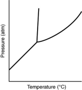 Consider the phase diagram for a substance shown here.The solid phase is ________ than the liquid phase.   A) more dense B) less dense C) more massive D) less massive E) hotter