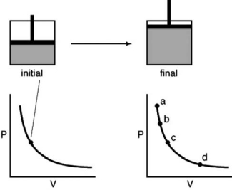 A gas is contained in the piston assembly and allowed to expand as in the following figure.Which point on the graph shows the correct final pressure and volume?   A) A B) B C) C D) D E) More information is needed.