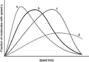 The following graph shows the speed distributions for four different gases, all at the same temperature.Which of the curves is for the lightest gas?   A) A B) B C) C D) D E) More information is needed.