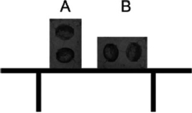 Two identical cement blocks are placed on a glass table in different positions, as shown in the diagram.Which statement about these blocks is correct?   A) A exerts more pressure on the table. B) B exerts more pressure on the table. C) Both blocks exert the same pressure on the table. D) A exerts more force on the table. E) B exerts more force on the table.