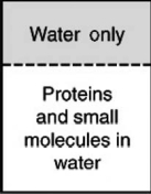 In the process of dialysis, a special semipermeable membrane allows both small molecules and water to pass through, but not large protein molecules.These membranes are used to separate these small molecules and ions from much larger proteins.If a mixture of proteins and small molecules were separated from pure water by a dialysis membrane as shown in the figure, which way would the molecules flow?   A) Both water and small molecules would pass through into the pure water. B) Only the proteins would pass through into the pure water. C) Water would enter the solution while small molecules would pass through into the pure water. D) Only small molecules would pass through the membrane; water and proteins would not. E) Only water would pass through the membrane into the solution.