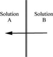 The arrow in the diagram below indicates the direction of solvent flow through a membrane in osmosis.Which solution, A or B, is more concentrated? Explain your reasoning.  