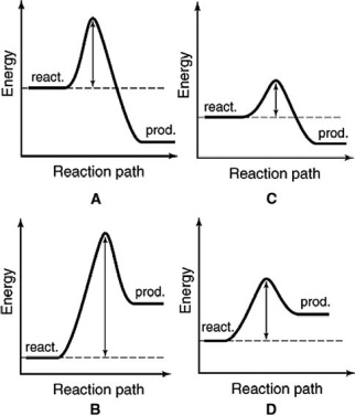 The following energy profiles for four different reactions are shown.Which reaction is the most exothermic?    A) A B) B C) C D) D E) More information is required.
