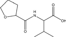 Identify all the functional groups in the following molecule.  