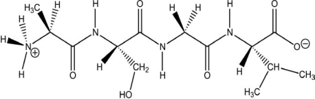 The molecule drawn below is an example of an)    A) nucleic acid base. B) peptide. C) carbohydrate. D) fatty acid. E) amino acid.
