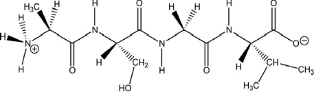 What is the name of the peptide shown?   A) valylseylalanine B) alaylserylvaline C) alasergylvaline D) valinylglycinylserinylalanine E) alanylserylglycylvaline