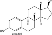 <strong>Estradiol, like cholesterol, is  </strong> A)a nucleic acid base. B)an amino acid. C)a carbohydrate. D)a fatty acid. E)a lipid. <div style=padding-top: 35px> 